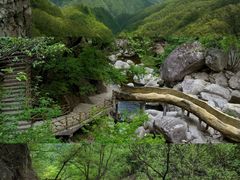 -洛阳白云山景区