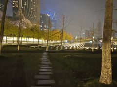 -南京眼步行桥