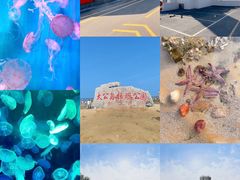 -巧克力渔家.小船海鲜胶东菜(万平口店)