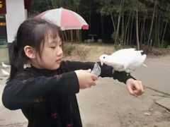 -石燕湖生态旅游景区