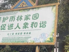 -野象谷景区