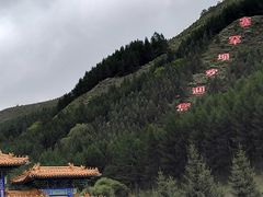 -塞罕坝国家级自然保护区