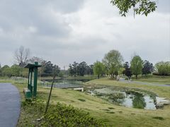 -两河城市森林公园