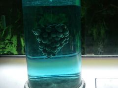 -青岛葡萄酒博物馆