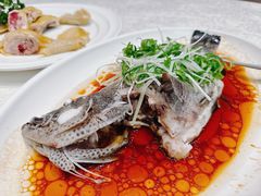 -大东海海鲜酒楼(渔人码头总店)