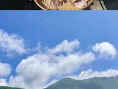 -杨梅坑