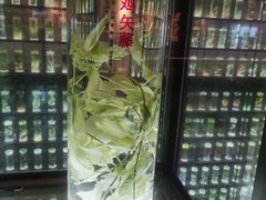 -广东中医药博物馆