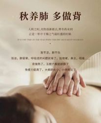 -LUNA皮相美·骨相美高级美感