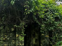 -鱼凫人家