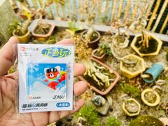 -昆山城市生态森林公园