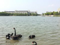 -江南大学(蠡湖校区)