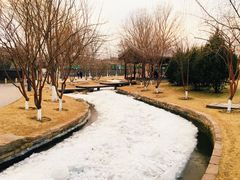-三里河公园