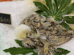 -川骄海鲜自助(亚运村店)