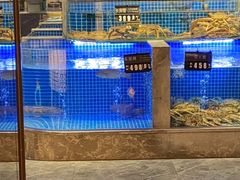 -味钱塘·钱塘浙宴(宋城之江银泰店)