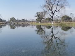 -良渚古城遗址公园