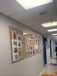 -杭州贝瑞斯美华妇儿医院·早孕·产检·儿科