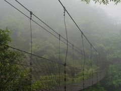 -大鄣山卧龙谷景区
