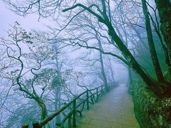 -黄山风景区