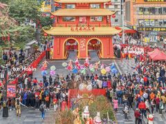 -越秀西湖花市(广州城市广场花卉店)