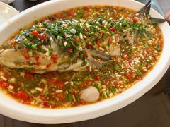飞虹鱼-飞虹鱼馆(春华路店)