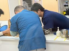 -康成宠物医院24H·CT·核磁共振