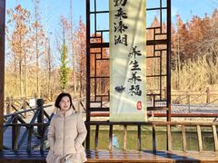 -溱湖国家湿地公园