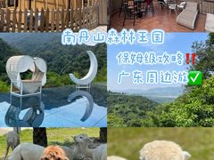 -南丹山森林王国