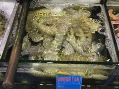 -揭阳钟记小食(福田新村店)