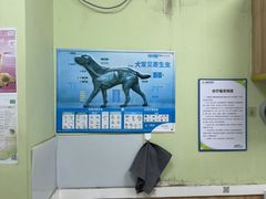 -瑞鹏宠物医院·夜间急症·心超·猫科(祖庙分店)