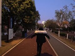 -艾溪湖湿地公园