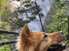 -千泷沟大瀑布旅游区
