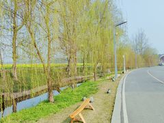 -中国天府农业博览园