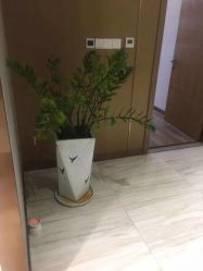 -苑苑vbeauty科技美容SPA