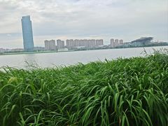 -高子水居