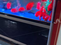 -臻享养生·SPA·影院式足道(汇臻店)