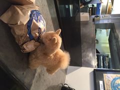 Fergburger-Fergburger(皇后镇店)