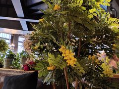 -LYFATTI 莱芙缇(赣水路店)