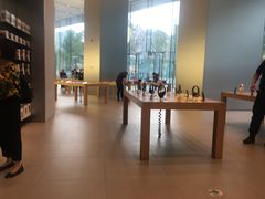 -Apple零售店(华贸购物中心店)