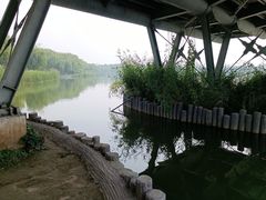 -大兴滨河森林公园