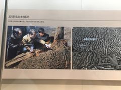 -南昌市博物馆