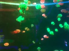 -福州罗源湾海洋世界旅游区