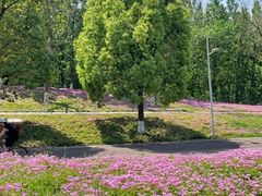 -白鹭湾湿地公园