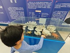 -上海海洋大学鱼文化博物馆(军工路校区)