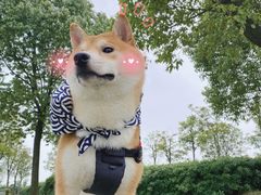 -梁子湖东篱老屋生态庄园