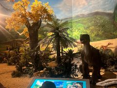 -安徽省地质博物馆