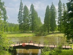 -黄海国家森林公园