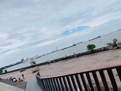 -上海滨江森林公园