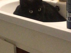 -乐刻运动健身精品馆(览秀城店)