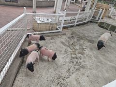 -国色天乡三期陆地乐园