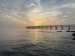 -黑石礁酒楼·海鲜(黑石礁店)